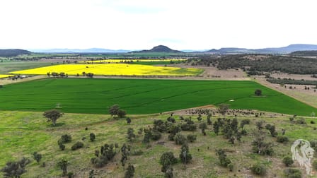 203 Bakers Road Gunnedah NSW 2380 - Image 3