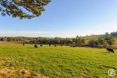 150 Dalry Road Launching Place VIC 3139 - Image 3