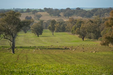 1228 Jerrybang Lane, Monteagle via Young NSW 2594 - Image 2