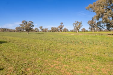 1228 Jerrybang Lane, Monteagle via Young NSW 2594 - Image 3