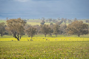 1228 Jerrybang Lane, Monteagle via Young NSW 2594 - Image 1
