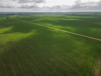 Mogal Plain 3595 Nyngan Road Tottenham NSW 2873 - Image 2