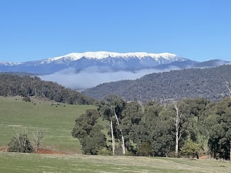 Bullhead Road Mitta Mitta VIC 3701 - Image 1