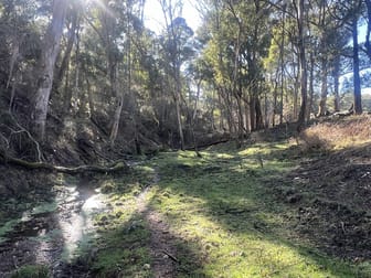 Bullhead Road Mitta Mitta VIC 3701 - Image 2