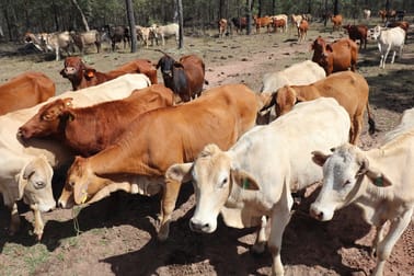 Lot 17 Greentree Road, Beeron Mundubbera QLD 4626 - Image 3