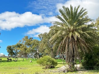 Eneabba WA 6518 - Image 2