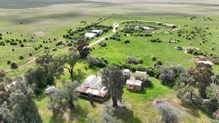 "The Willows" Carrathool Road Carrathool NSW 2711 - Image 3