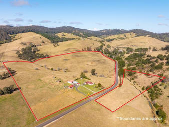 790 Nethercote Rd Nethercote NSW 2549 - Image 2