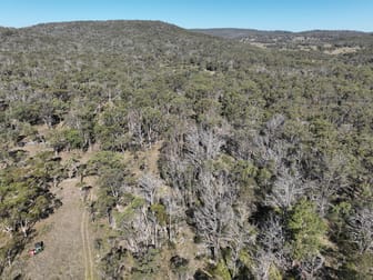 LOT 2 Yarraford Road Dundee NSW 2370 - Image 1