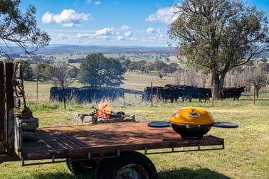 371 Caloola Road Bathurst NSW 2795 - Image 1