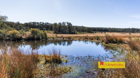 Lot 77/369 Montaza Road Gulgong NSW 2852 - Image 3
