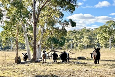 3814 Oallen Ford Road Windellama NSW 2580 - Image 1