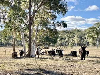 3814 Oallen Ford Road Windellama NSW 2580 - Image 1