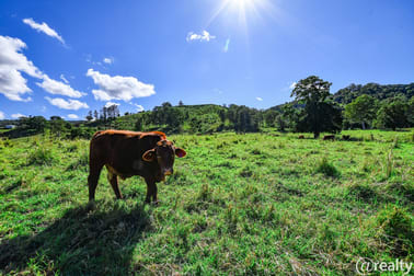 92 Gap Road Cedar Pocket QLD 4570 - Image 1