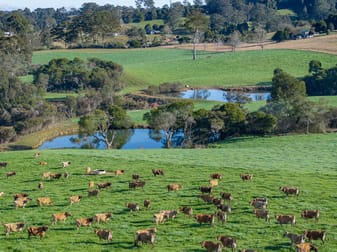 1431 Coramba Road Megan NSW 2453 - Image 2