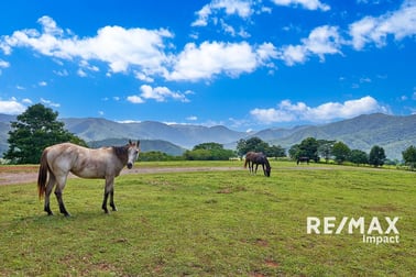 332 Goldsborough Road Goldsborough QLD 4865 - Image 1