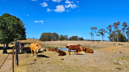 13286 Isis Highway Ban Ban Springs QLD 4625 - Image 3