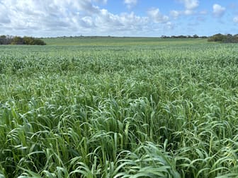 Click to view all images lot 308 Bootenal Road Bootenal WA 6532 - Image 3