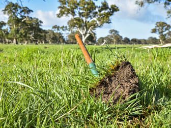 344 Krongart Road Penola SA 5277 - Image 1