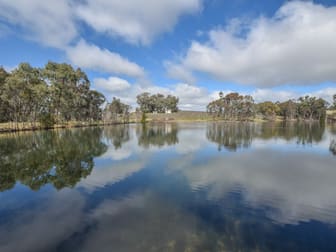 99 Noonans Road Young NSW 2594 - Image 3