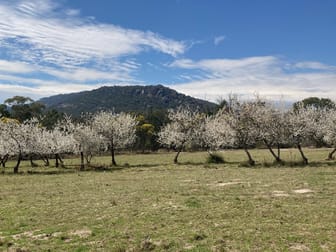 Lot 130 McDonagh Road Lyra QLD 4382 - Image 3