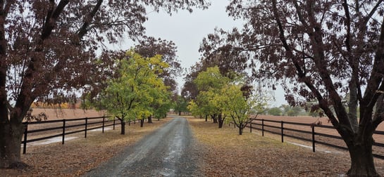 2856 Olympic Highway Wagga Wagga NSW 2650 - Image 1