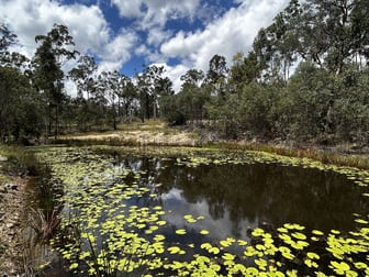 241 Bruxner Road Drake NSW 2469 - Image 1