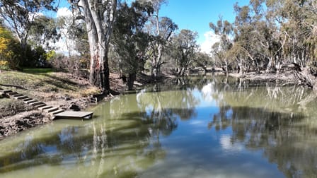 Calimo Park Brassi Road Deniliquin NSW 2710 - Image 2