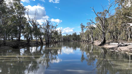 Cumnock Park Brassi Road Deniliquin NSW 2710 - Image 1