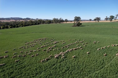 814 Bennett Springs Road Cowra NSW 2794 - Image 1