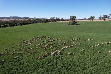 814 Bennett Springs Road Cowra NSW 2794 - Image 3