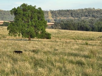 Wyangarie Warialda NSW 2402 - Image 1
