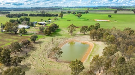 'Spring Lagoon'/487 Maloney Rd Burrumbuttock NSW 2642 - Image 1