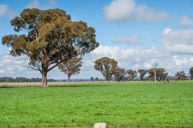 'Spring Lagoon'/487 Maloney Rd Burrumbuttock NSW 2642 - Image 3