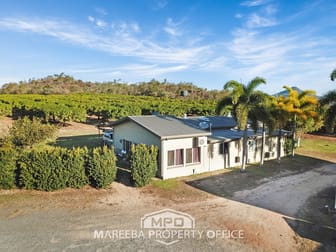 1151 Leafgold Weir Road Dimbulah QLD 4872 - Image 3