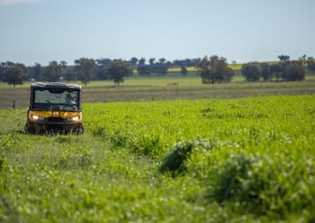 88 Lower Somerton Road Tamworth NSW 2340 - Image 1