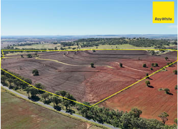 'Dundee"/245 Burts Lane Inverell NSW 2360 - Image 1