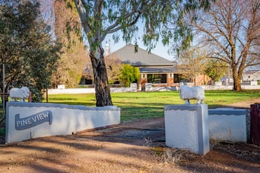 'Pineview', 1440 Coolamon Road Mimosa NSW 2666 - Image 1