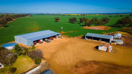 'Pineview', 1440 Coolamon Road Mimosa NSW 2666 - Image 3