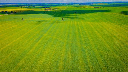 'Snowies' Plemings Lane Coolamon NSW 2701 - Image 3