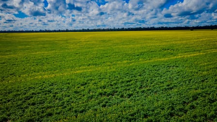 'Snowies' Plemings Lane Coolamon NSW 2701 - Image 2