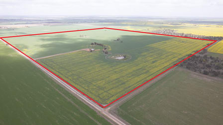 Mount Pleasant Road Minyip VIC 3392 - Image 3