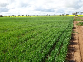 341 De Gruchy Road Kondinin WA 6367 - Image 3