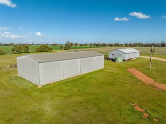 321 Alf Freemans Road Milbrulong NSW 2656 - Image 3