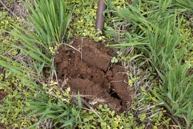 Donald Murtoa Road Kewell VIC 3390 - Image 2
