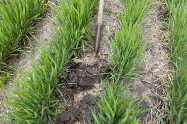 Donald Murtoa Road Kewell VIC 3390 - Image 3