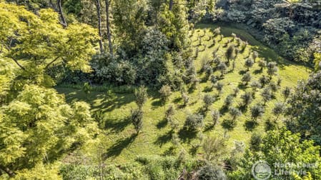 744 Upper Burringbar Road Upper Burringbar NSW 2483 - Image 3