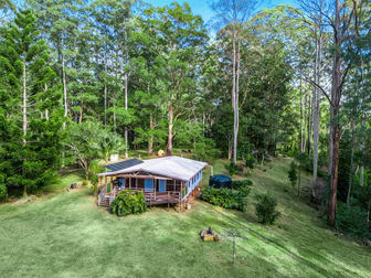 434 Mount Burrell Road Mount Burrell NSW 2484 - Image 1