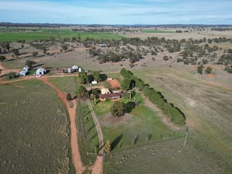 'Nyrang' 3013 Mid Western Highway West Wyalong NSW 2671 - Image 2