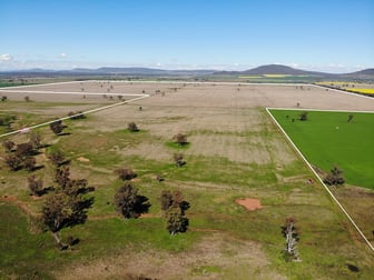 337 Booloocooroo Road Gunnedah NSW 2380 - Image 2